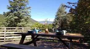 Pura Vida - Image 2