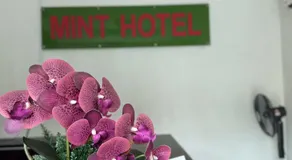 MINT HOTEL - Image 2