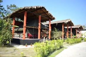Dee Helios Assam - Image 5