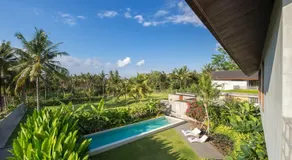caSabama - Image 4
