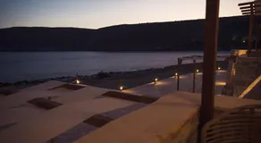Monodendri Suites - Image 3