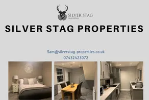 Silver Stag Properties, Modern 2 BR House - Image 3