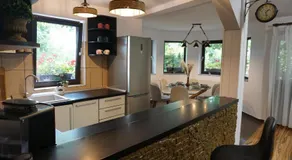 Villa Hanna's Garden - Mintia - Image 2
