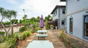 Aloes 21 - Image 4