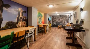 The Flying Pig Downtown Hostel - Image 2