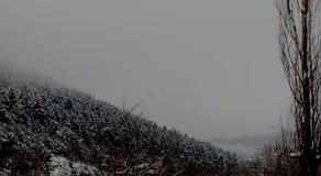 Ξενώνας με Θέα τα Έλατα - Image 4