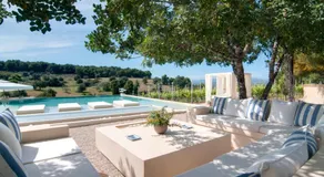 Vineyard Estate - Image 2