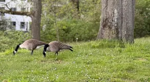 Stilvolles Studio am Stadtpark Bochum - Image 3
