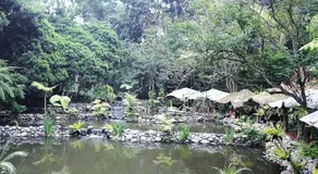 Imah Seniman - Image 4