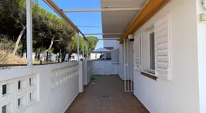 Entre mar y pinar - Image 5