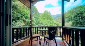 Star Coffee & Homestay - Image 5