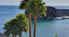 Mi Cotillo - Image 4