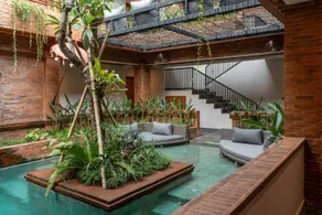Baliris legian - Image 3