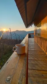 Tree Nest Resort - Image 3