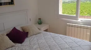 Ca La Montserrat - Wine Rural House - Image 2