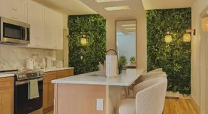 Spring Rooms by Yale & Downtown - Image 4