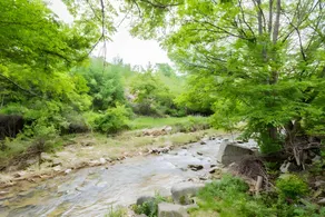 Bongpyeong Moolsori Pension - Image 2