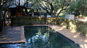 Tuskers Bush Lodge B&B - Image 4