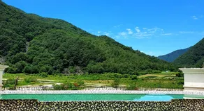 Pine Forest Jeongseon Alpine Resort - Image 5