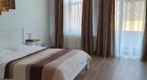 Han Dunarea - Image 2