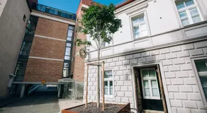 Becycle Sustainable stay and travel - Image 3