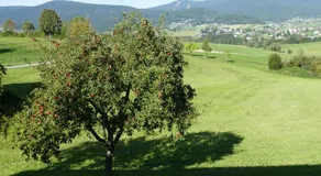 HOCHFICHTBLICK Apartments - Image 5