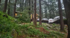 log hut dharamkot - Image 4