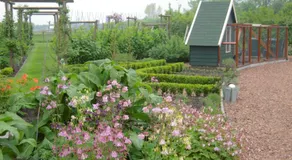 B&B ZomersBuiten - Image 4