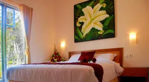Hotel Flamboyan - Image 2