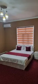 New Viva - Image 4