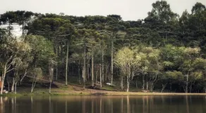 Recanto das Folhas - Oásis Pousada - Image 5