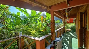Berkey's Jungle Paradise - Image 2