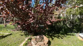 Small house with a garden in the heart of Slavkov - Image 5