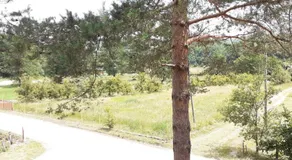 Smještaj na selu,porodica Gvozdenac - Image 5