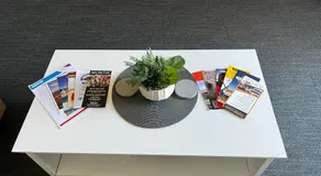 The little white box - Image 4