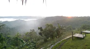 Johanna's Farm - Image 5