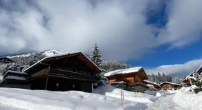 Chalet Les Ravaires, Morgins - Image 4