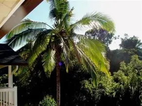 Bamboo Valley Inn - Image 5