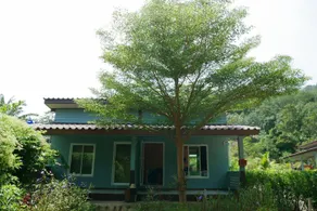 Baan Nomtham Apt 1 /mini kitchen - Image 5
