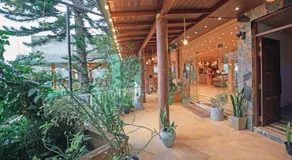 Green Hill - Image 4
