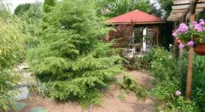 Pension Haus zum Schlehenberg - Image 2