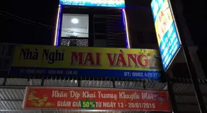 Mai Vàng - Image 4