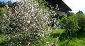 Rooms Kronblick - Image 4