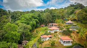 Colinas Tinamastes - Image 5
