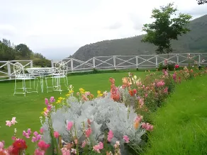 Mystique Ville Resort Ooty - Image 5