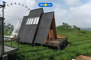 Nimo Tea Resort - Image 3