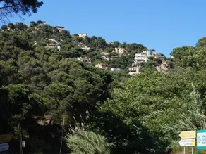 Esperanza - Image 1