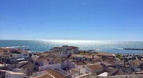 Le Maset en Camargue - Image 4