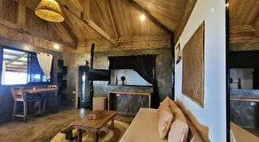Tarzan's House - Image 2