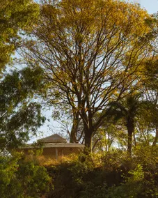 H2H Bir l Nature Camps - Image 5